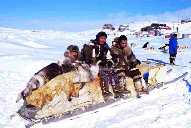 Traditional qamutik (sled), Cape Dorset 1999 Image credit: Ansgar Walk via Wikimedia